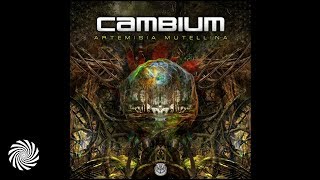 Cambium - Artemisia Mutellina