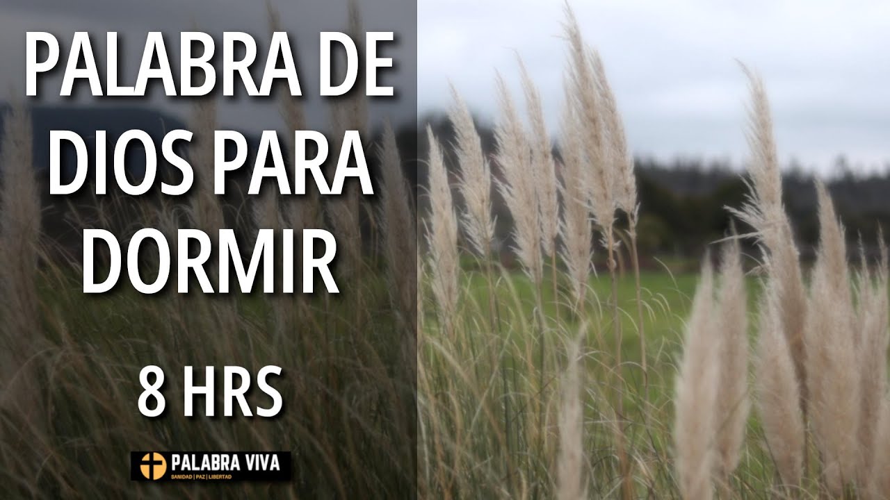 Cambia tu ansiedad por oración y paz 🙏🏻 | Duerme con la palabra de Dios ...