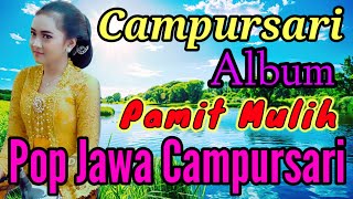 PAMIT MULIH DANGDUT JAWA KOPLO