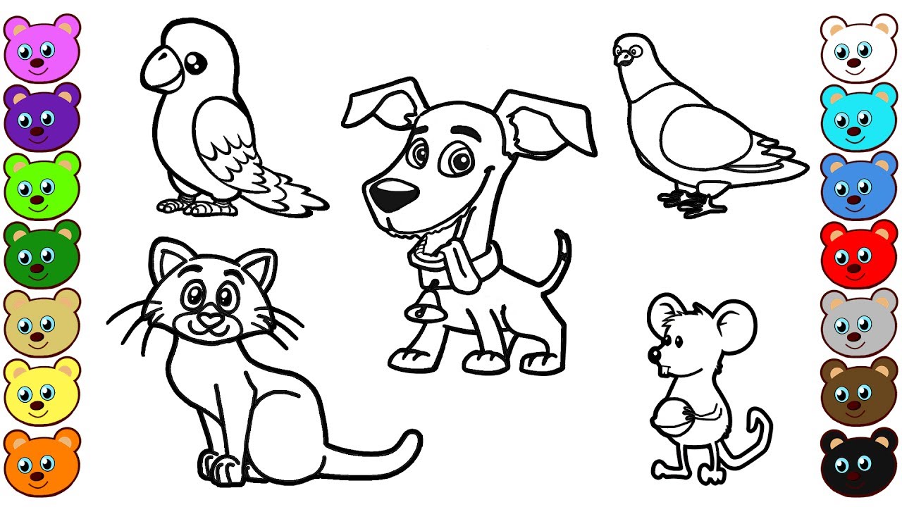 Download Learn Colors for Kids with Home Animals Coloring Pages - YouTube