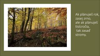 Medzinárodný Deň Lesov