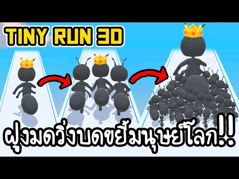 Tiny Run 3D - ฝูงมดวิ่งบดขยี้มนุษย์โลก!! [ เกมส์มือถือ ]