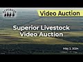 Superior livestock auction  auction