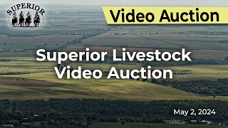 Superior Livestock Auction - Video Auction