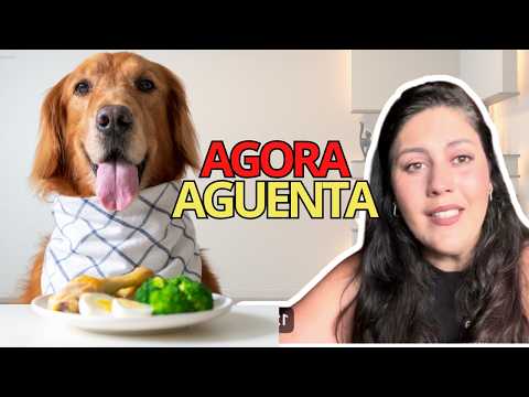 NÃO faça Alimentação Natural para seu cachorro sem assistir esse vídeo!