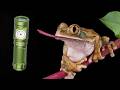 The Lumintop Frog 3.0 - Nano Flashlight Fun!