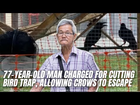 رجل يبلغ من العمر 77 عام ا ي تهم بقطع مصيدة طيور مما سمح لثلاثة غربان بالهروب 