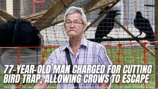 77-Year-Old Man Charged for Cutting Bird Trap, Allowing Three Crows to Escape