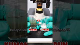 Kuman vs citrun, berapa lama menurut kalian bisa bertahan? #shorts #foryou #microscope #eksperimen