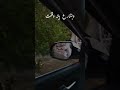مابعرف كيف وصلت والدرب وداني ستوريات