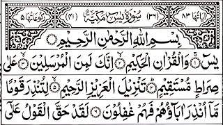Surah Yaseen | Barkat Ki Dua | Beautiful Recitation Surah Yasin Surah Rahman Surah Waqiah Surah Mulk