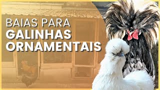 Como Construir Baias Para Criação De Galinhas Ornamentais?