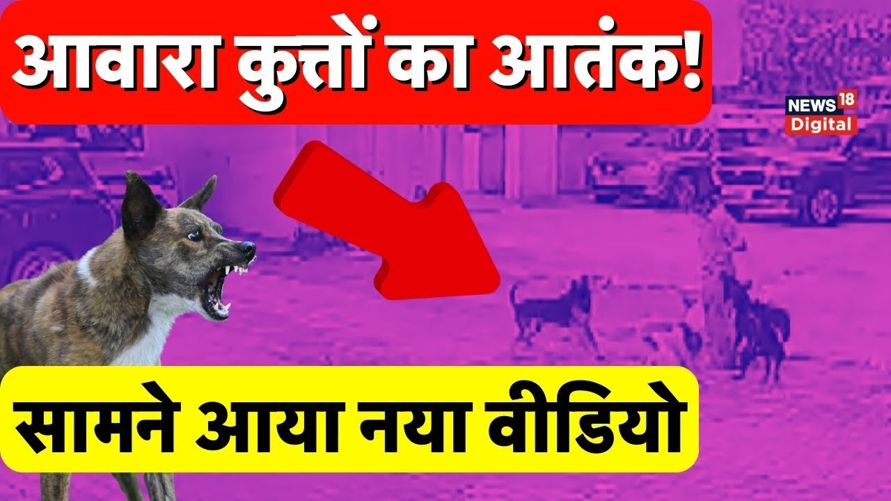 Ghaziabad Delivery boy ने लड़की को Stray Dogs से बचाया, सामने आया