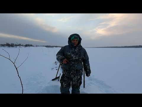 Burbot fishing / It's freezing, and we're checking our gear / We caught a burbot and are already ...