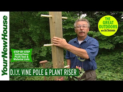 DIY Vine Pole & Plant Stand - The Great Outdoors