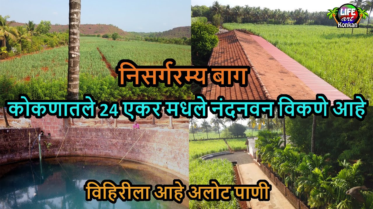 कोकणातले 24 एकर मधले नंदनवन विकणे आहे,निसर्गरम्य बाग,विहिरीला आहे अलोट पाणी