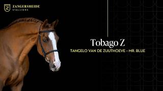Tobago Z-- Zangersheide Hengstenpresentatie 2026 ( NED )