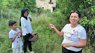 PERTAMA PUTRIKU KE KEBUN MERTUA ,PANEN PLUM & REAKSI ASTRID MAKAN PLUM‼️