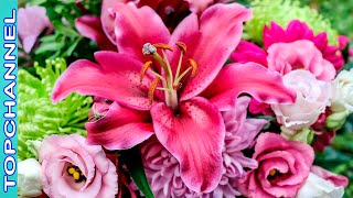 10 Variedades de flores con hermosos significados