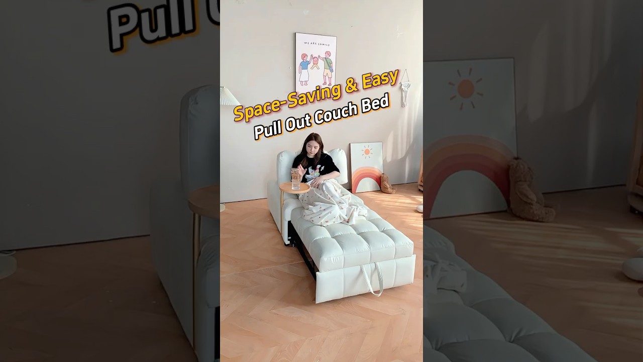 Explore the Space Saving Pull Out Couch Bed 