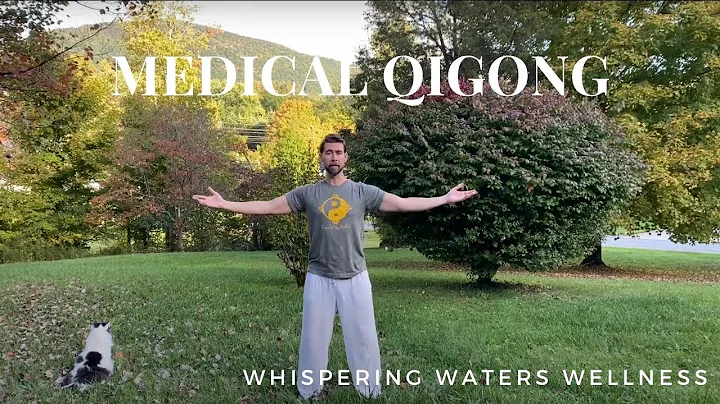 Medical Qigong for Shoulder Rehabilitation