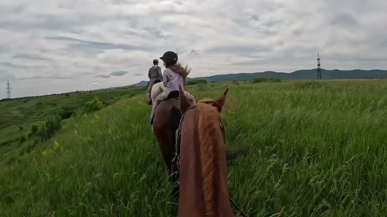 POV: Horseback Riding through the Mountains | 13 Minutes of Pure Serenity