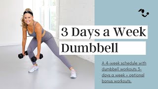 3 Days a Week Dumbbell Program