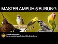 Master Burung full Tembakan (Kenari, Lovebird, Kapas Tembak, Cililin, Gereja Tarung)