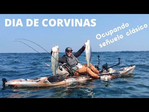 Pesca de Corvinas