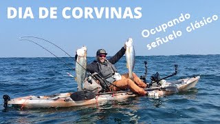 Pesca de Corvinas  con señuelo Clásico