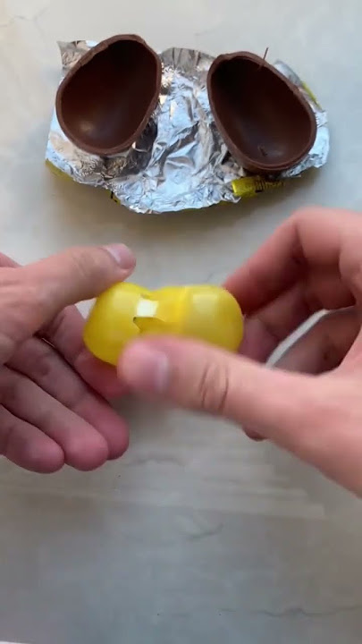TOTO SURPRISE EGG