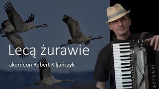 Video thumbnail of "Lecą żurawie - akordeon Robert Kiljańczyk"