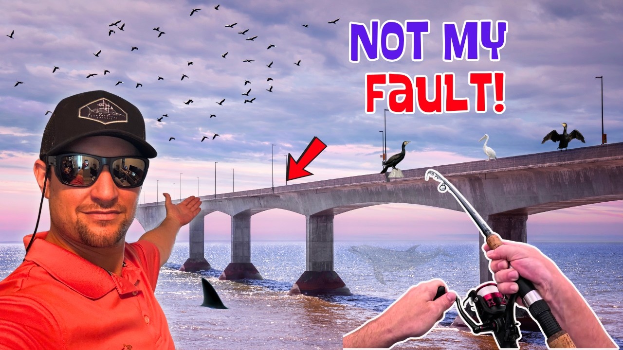 Fishing Florida's 2nd CRAZIEST Bridge with LIVE Shrimp - Multi Species Day!
