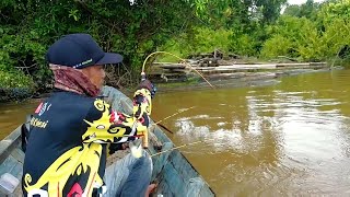 Berkah air melimpah!! makin ganas,baru di taruh langsung tripel strike udang galah besar²