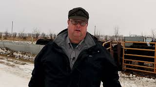 Dakota Alternative Beef Cow Systems Symposium Announcement