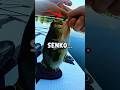 Top 3 Fishing Lures *EVERY* Bass Fisherman Needs! | #Shorts