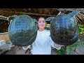 Buy turtle from market | First time for softshell turtle Cooking | Amazing softshell turtle soup