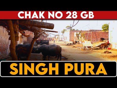 Chak Number 28 GB Singh Pura Faisalabad | History Of Chak 28 GB | Lehnde Punjab De Pind | Indoz TV