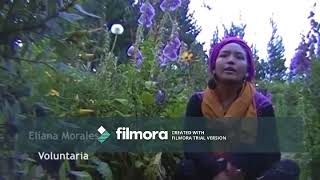 Permacultura en Salinas de Guaranda