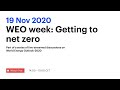 WEO Week: Getting to net zero