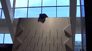 Texas Furry Fiesta 2017 Plinko Board With Telephone