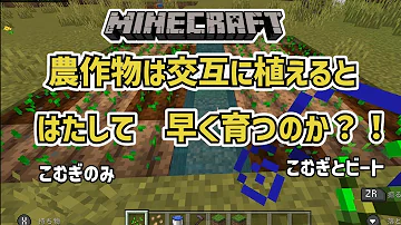 植え方による作物の成長速度 を検証してみたところ 意外な結果に マイクラ統合版 ゆっくり実況 Mp3