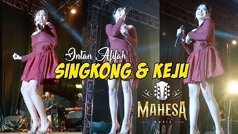 Buening Pool !! INTAN AFIFAH - SINGKONG & KEJU - MAHESA MUSIC - Live pasar Rakyat Ambarawa