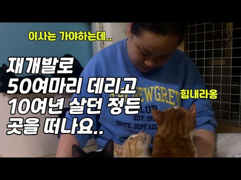 [긴급] 10여년 넘게 살던 동네를 재개발로 떠나야 하는데 걱정이 많네요