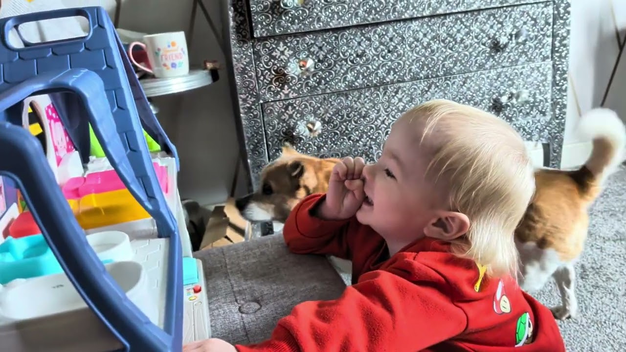 Fun at Nanny's with Little People  Fisher Price House 