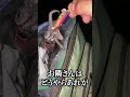 なんとしてでもイカが釣りたい男