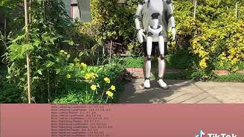 AR Body Tracking using Apple ARKit / Debugging Skeleton AR Bones