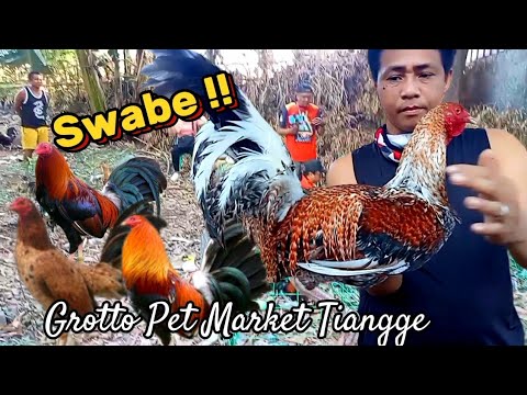 Swabe   Update Grotto Pet Market Tiangge  April 28 2024