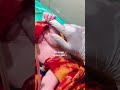 #youtubeshorts #baby #trending #students #viral #college #neet #ayurveda #mbbs #doctor #study #aim