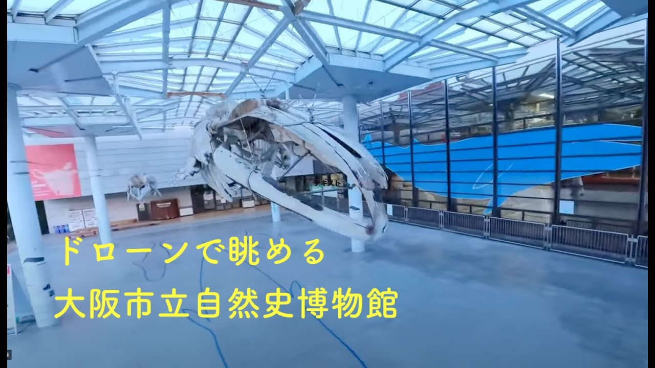 大阪市立自然史博物館をマイクロドローンでフライスルー！